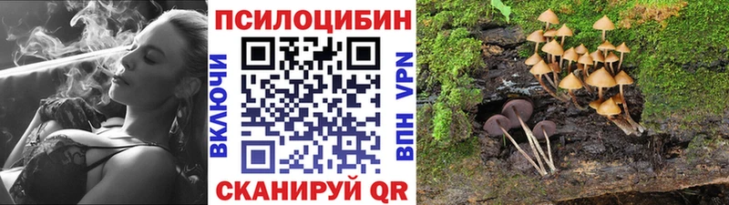 купить наркоту  Кирс  Галлюциногенные грибы прущие грибы 
